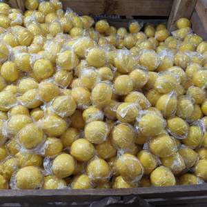 Jus de fruits biologiques Vitamine C de haute qualité Collations saines Ingrédients de cuisine Vente en gros de citron frais - Product Image 3