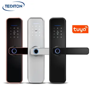 Su geçirmez Tuya WiFi App akıllı kapı kilidi biyometrik kilit parmak izi kapı kolu dijital anahtarsız kilit