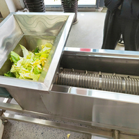 Enkelvoudige schroefpersmachine 304 roestvrij staal fruit- en groente-ontwateringsmachine industriële sapcentrifuge voor gember en kool