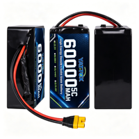 Batterie semi-solide industrielle ultra-grande capacité 60000mAh 6S 22.2V 5C 800 cycles 30A haute stabilité pour drone de travail intensif
