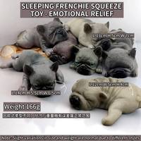 Jouet Squishy Chien Français 2026 Nouveau Anti-stress Sensoriel en Silicone Non Toxique pour Enfants et Adultes Certifié ASTM/EN71 Durable