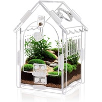 Boîte de présentation en acrylique pour insectes, cage d'élevage OEM d'usine pour tarantules, insectes, lézards et araignées
