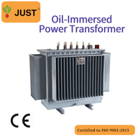 Transformador de potencia trifásico ONAN de 315 kVA, 11/0.4 kV, tipo aceite, bobinado de cobre, estándar IEC.
