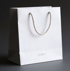 Bolsas de Papel Impresas con Dibujos Animados Personalizados, con Diseños a Medida para Regalos y Recuerdos de Fiesta - Product Image 2