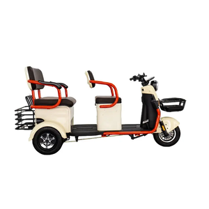 Venta al por mayor triciclo eléctrico para ancianos bicicleta eléctrica de carga a casa de tres ruedas de pasajeros e-triciclo pedicab para carga - Product Image 5