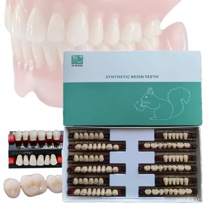 Produttore Protesi Artificiale Acrilico Denti In Resina per la Vendita All'ingrosso CE ISO - Product Image 5