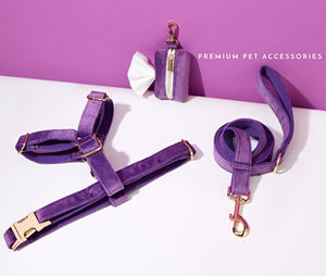 Conjunto de Veet púrpura personalizado, correa de cachorro hecha a mano, pajarita para regalo de boda, Collar de perro grabado elegante - Product Image 3