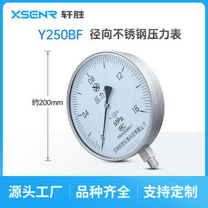 Manómetro de Acero Inoxidable Suzhou Xuansheng Y200 de 250 mm, Precisión 1.6, Conexión Roscada para Calderas de Vapor - Product Image 4