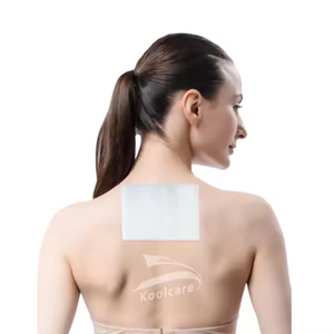 아픈 근육과 관절과 등을위한 통증 완화 패치 - Product Image 1
