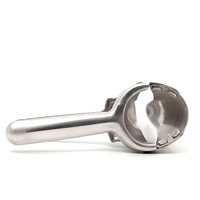Instrument vétérinaire Dilatateur vaginal pour moutons Spéculum vaginal pour chèvres Acier inoxydable Ouvre-vagin pour moutons