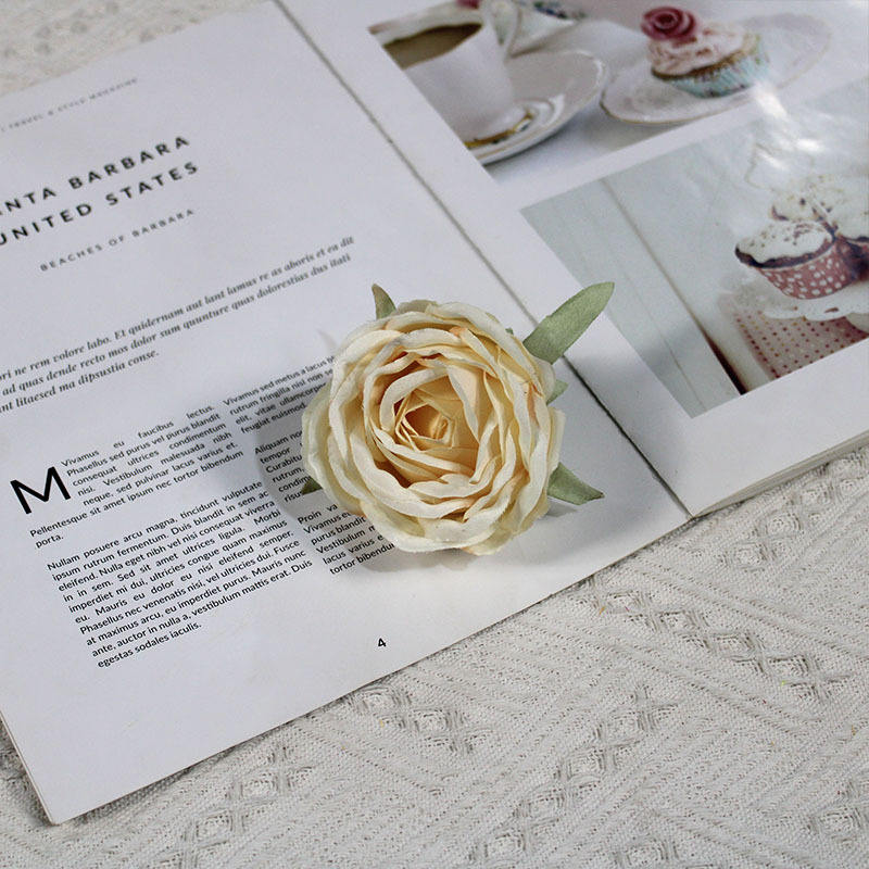 สีแชมเปญ