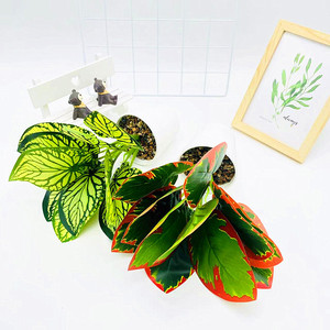 Paulon 11-Leaf Artificial <b>Potted</b> <b>Plant</b> 27cm High With Pebbles Wedding Home Decor - Product Image 3