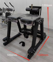 Chaise romaine professionnelle en métal pour entraînement abdominal et dorsal, avec fonctions de soulevés de jambes, tractions, curls, extensions et hyperextensions