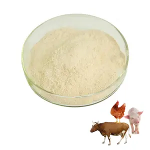 大豆ミール家禽飼料ベース複合酵素は飼料の消化性を向上させます