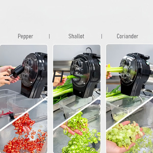 Oferta Especial: Cortadora Eléctrica Comercial de Zanahorias y Jengibre <span class=keywords><strong>para</strong></span> Cebollín, Chile y <span class=keywords><strong>Ajos</strong></span> - Product Image 6