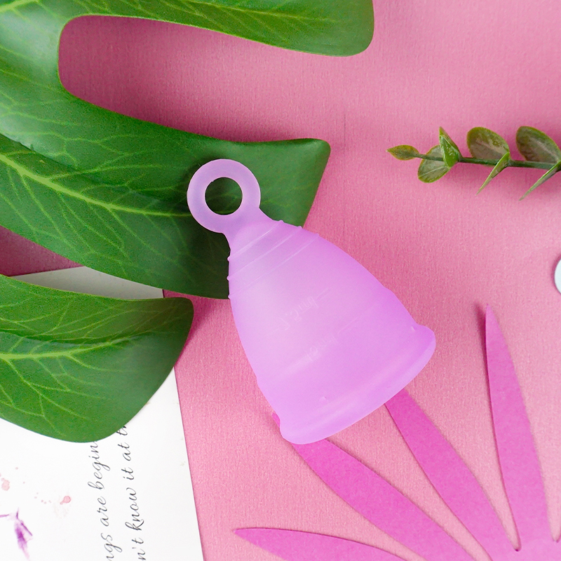 Viola in sacchetto del opp