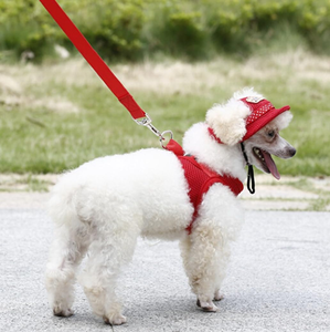 Comfort Breathable Adjustable Soft Nylon Mesh <b>Small</b> Dog Harness Vest - Product Image 2