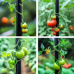 Chemlead Glasvezel Staaf Tuinstaken Stevige Plantenstokken Ondersteunen Tomatenpalen Voor Groente