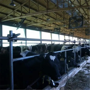 Fermes laitières-Systèmes <span class=keywords><strong>de</strong></span> <span class=keywords><strong>traite</strong></span> - Product Image 4