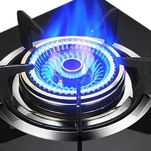 Vendita calda Combustibile Con Bruciatore A <span class=keywords><strong>Gas</strong></span> Da Campeggio Portatile - Product Image 5