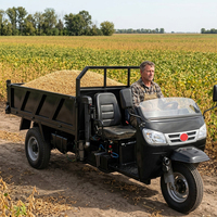 Système de levage pour tricycle diesel, mini-camion de fret, mini-benne lourde 1 tonne, 2 tonnes, 3-5 tonnes