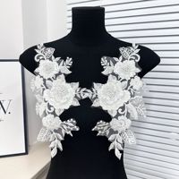 AFFNINTY Novel Design Strass Paillettes Broderie Dentelle Abaya Applique Perlée Patch pour Hijab Vêtements Accessoires