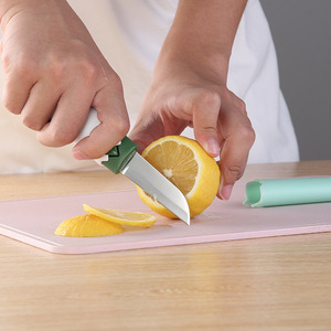 Pelador de frutas multifuncional creativo, pelador doméstico, pelador de frutas 2 en 1 para cocina, pelador de acero inoxidable - Product Image 1