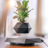 Maceta Magnética Levitante con Diseño de Bonsái, Ideal para Decoración del Hogar y Jardín, Regalo Creativo