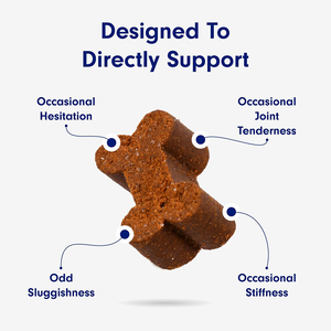 Masticables para la salud de la cadera y las articulaciones del perro con glucosamina MSM y sulfato de condroitina, absorción rápida segura, compatible con articulaciones para todas las razas - Product Image 4