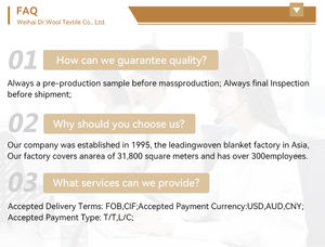 DAHAI Top Rated 100% Wool Woven <strong>Blanket</strong> Throw Cute Rectangular <strong>Childrens</strong> Home - Product Image 2