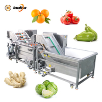 Ligne de lavage de fruits et légumes, Laveuse à immersion pour légumes-feuilles, laitue, chou, épinards, Nettoyant à lavage doux