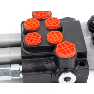 P40-G12-G38-2QTW manuel 12v hidrolik makara vana özel etiket <span class=keywords><strong>program</strong></span>ı: logonuzla marka P40-G12-G38-2QTW vanalar - Product Image 6