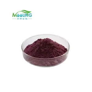 Wholesale High Quality Grape Skin Extract Grape Skin Powder CAS 501-36-0