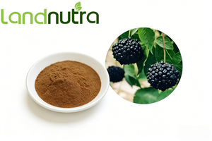 Натуральный экстракт элеутерокока синтетического в порошке - Элеутерозиды B+E ≥<span class=keywords><strong>1.0</strong></span>% Порошок сибирского женьшеня - Product Image 3