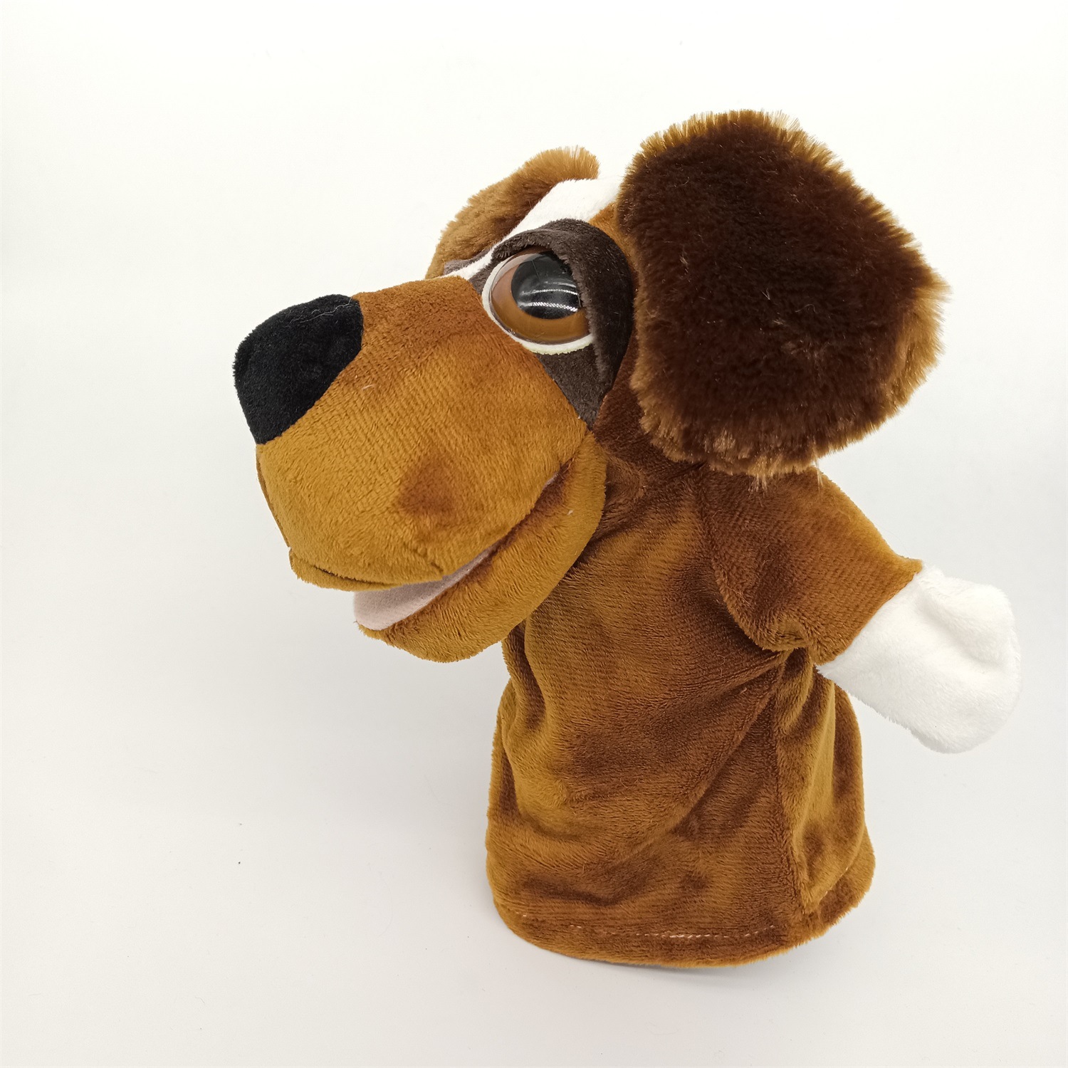 perro de ojos grandes