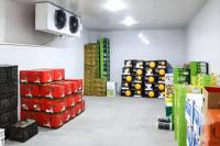 Chambre froide/congélateur modulaire -25°C pour stockage de viande, installation rapide en 48h, réfrigérant R404a, moteur automatique