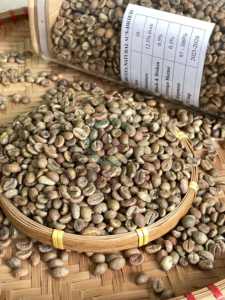 Vietnam Fresh Organic Arabica Robusta Green Coffee Beans 100% Pure Bulk Export Calidad Premium para bebidas - Product Image 3