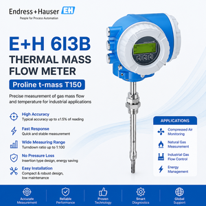 เครื่องวัดอัตราการไหลแบบเทอร์มอลเมาส์โฟลว์มิเตอร์ชนิดแทรก Endress+Hauser รุ่น 6I3B สำหรับการวัดก๊าซ เครื่องวัดอัตราการไหลของก๊าซแบบเทอร์มอลสำหรับอากาศอัด - Product Image 3