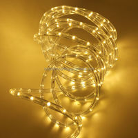 Oferta Especial Manguera de Luz LED Flexible Redonda 360 Grados Impermeable IP65 para Decoración Navideña Exterior