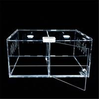 Présentoir pour Reptile en acrylique transparent à 2 compartiments, boîte d'élevage pour Reptile, pour 1/2 1/2 insectes et lézard, réservoir pour animaux de compagnie