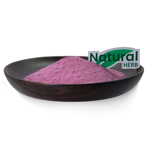 Nhà Máy Bán buôn 100% tinh khiết đóng băng khô bột trái cây tươi Quả Việt Quất nước trái cây chiết xuất với vitamin như thành phần hoạt động - Product Image 5