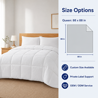Couette blanche de qualité professionnelle pour fabricant OEM, taille personnalisée, pour hôtels, toutes saisons (été, hiver), insert de couette.