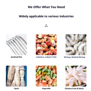 Hongteng By-2500 Trái Cây Thương Mại Bong Bóng Máy Giặt 220V/380V Thép Không Gỉ Tự Động Rửa Khô 0.75KW Dễ Dàng Hoạt Động - Product Image 3