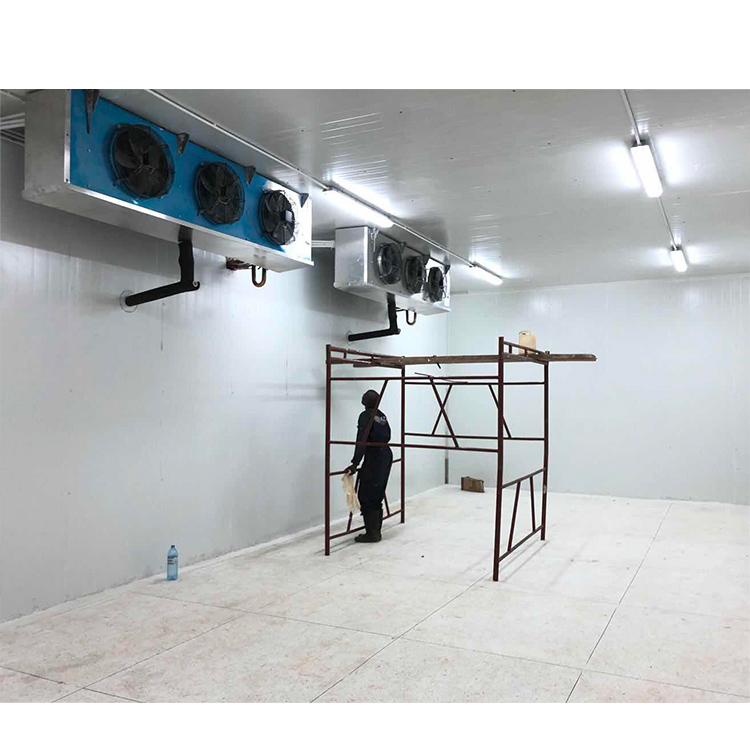 Глубокая морозильная камера из говядины, холодильная камера для морской рыбы, холодильная камера для хранения рыбы, холодильная камера