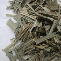 Thé sain récolté récemment, herbe de Malabar séchée, feuilles de l'herbe de Cochin coupées pour le thé aux herbes