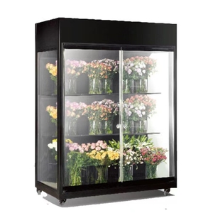 Refrigerador Comercial de Doble Puerta con Vidrio para Flores, Refrigerador Vertical de Exhibición para Flores - Product Image 6