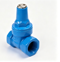 Vanne à opercule filetée manuelle à joint souple PN10, connexion optionnelle pour compteur d'eau, 1/2"-4", pour alimentation en eau des bâtiments civils, OEM
