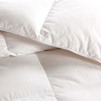 Vente chaude hôtel cinq étoiles Hilton White 95% duvet de canard confortable noyau de couette chaud peut être lavé avec de l'eau