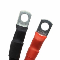 Kabel Listrik Tembaga Berinsulasi B Batter 8/6/4/2 AWG 10/16/25/35mm2 dengan Terminal