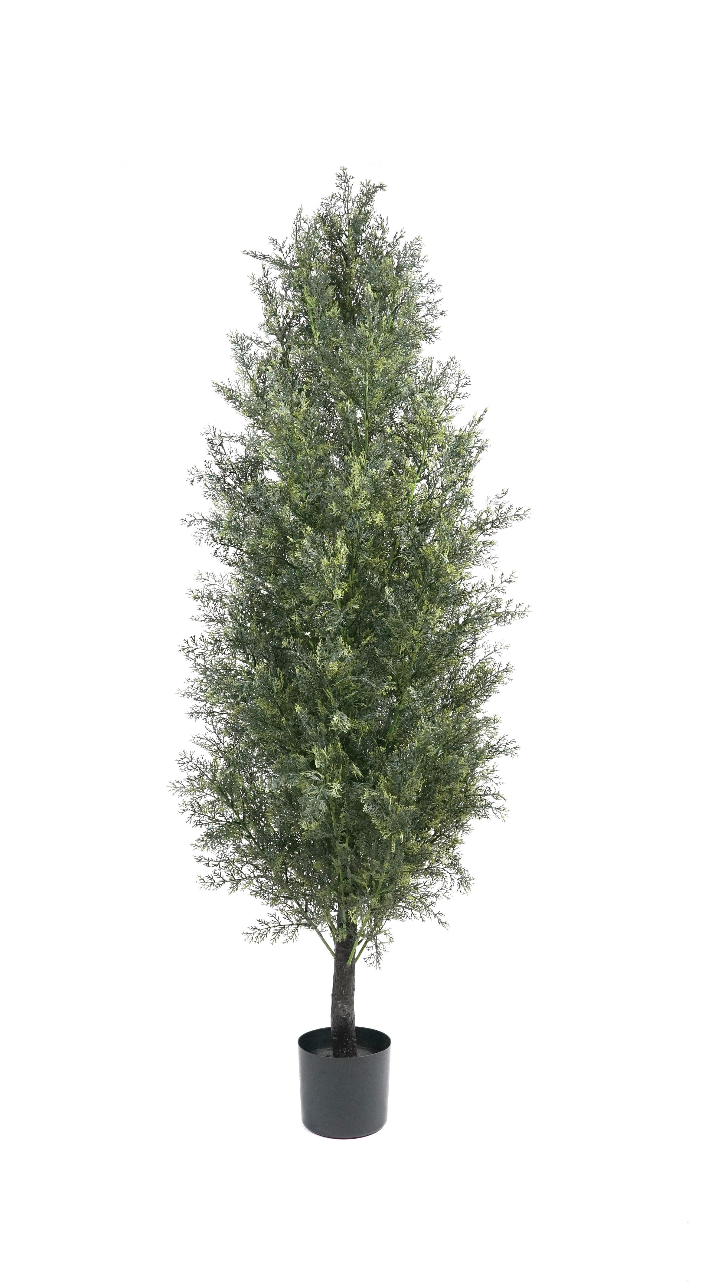 180cm árbol de ciprés